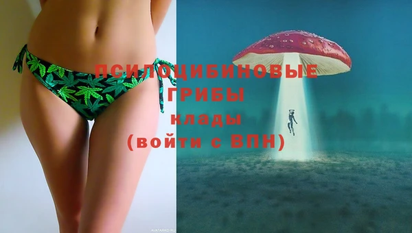 меф Белокуриха