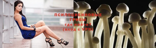 меф Белокуриха