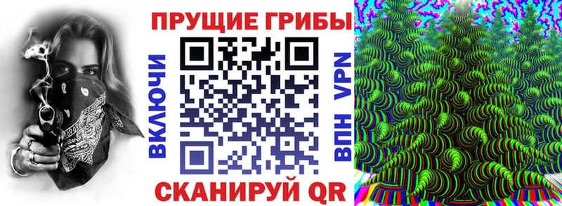 Псилоцибиновые грибы Psilocybe  Купить где  Невьянск 